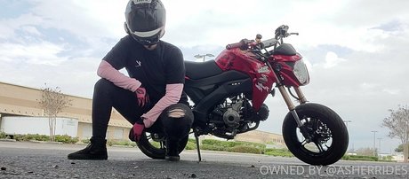 asherridesfree Profile pic