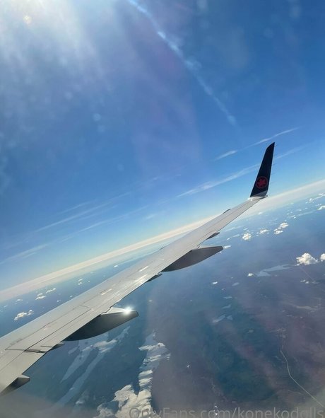 konekofixations model top img