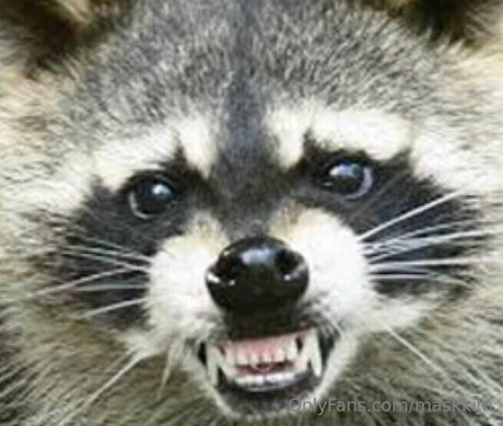 maskkim nude actress picture