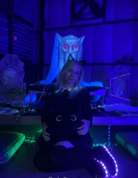 carmennem star art gallery