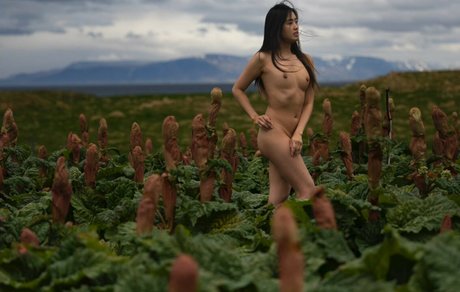 Stephanie Pham adult actress picture