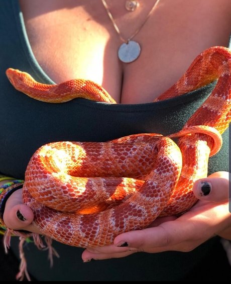 Isabellaell nudes pornstar galleries