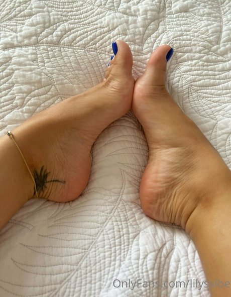 lilysvibe adult actress picture