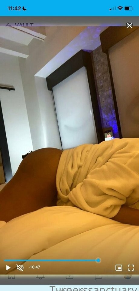 Turnerssanctuary art pornstar pictures