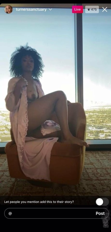 Turnerssanctuary sexy pornstar picture