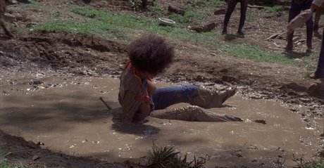 Pam Grier high quality actress pic