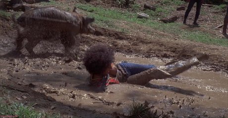 Pam Grier pornstar image