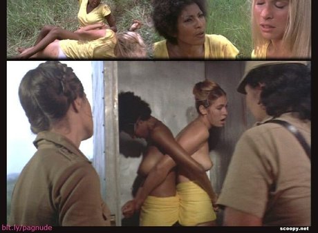 Pam Grier star hot image