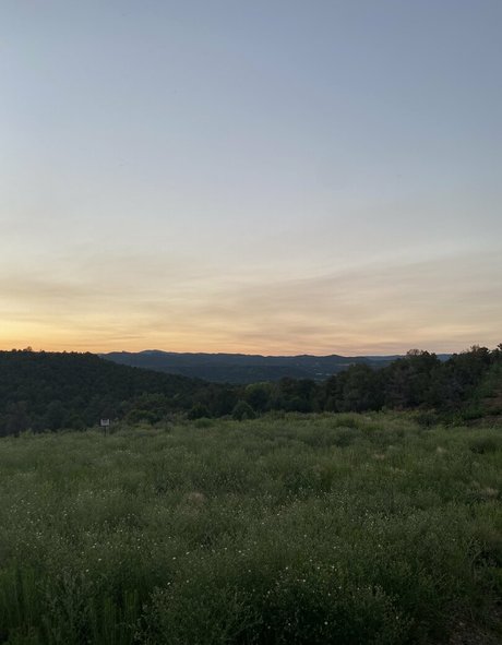 the goddess clue best pornstar photo