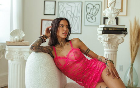 phx hdx adult star pictures