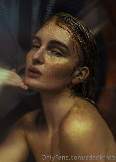 zdankfree pornstar perfect gallery