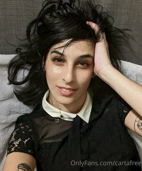 cartafree free star galleries