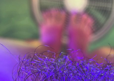 gtslongpiggies star perfect galleries