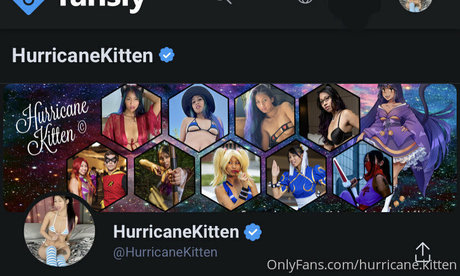 hurricane kitten model perfect images