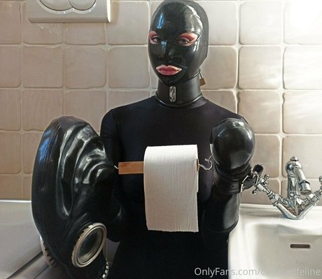 collaredfeline high quality actress gallery