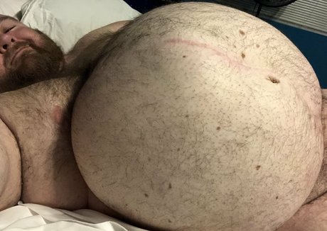 gainerbull star free images