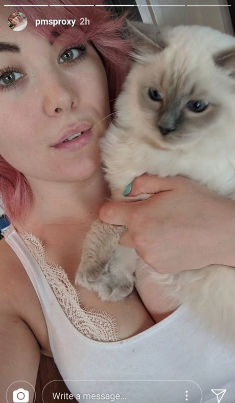 Pmsproxy pornstar nudes archive