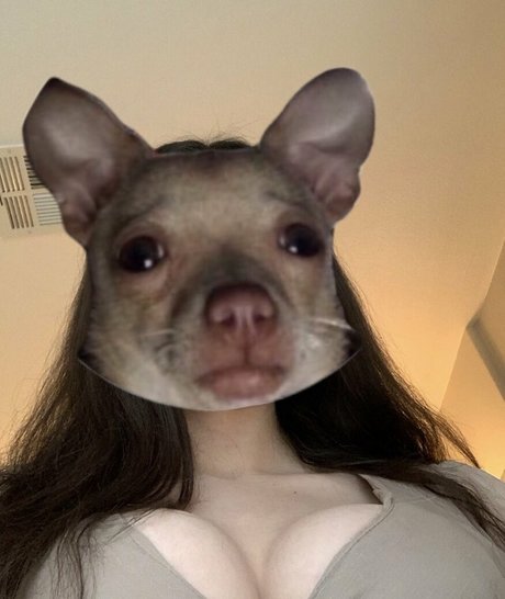 notsofiacoppola star nice images