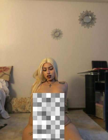 imbarix star high quality galleries