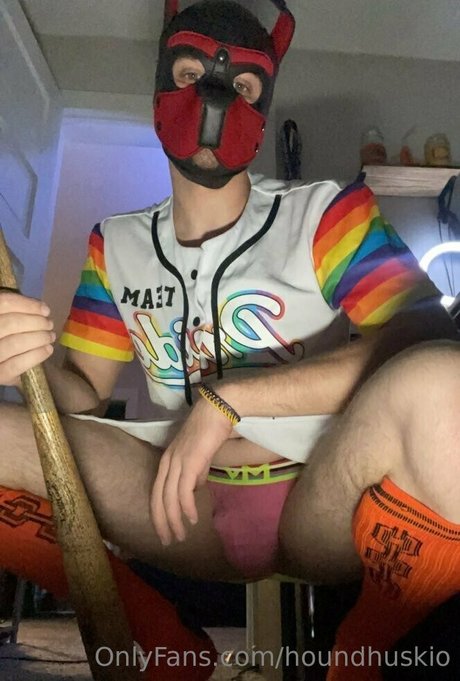 houndhuskio star high quality photos