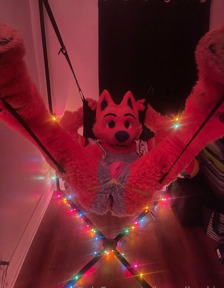 houndhuskio star adult pic