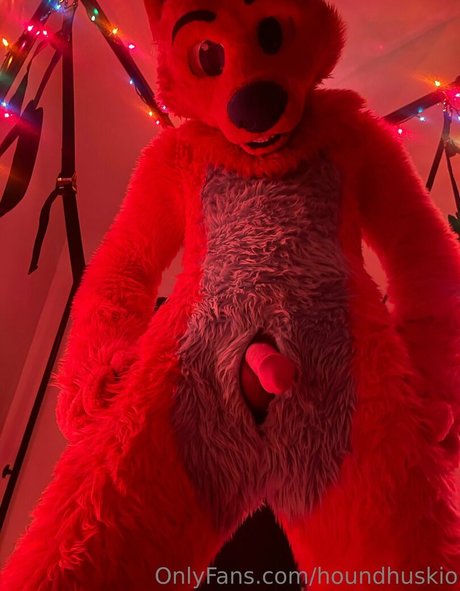 houndhuskio top star pics