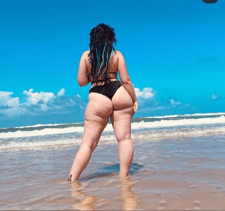 Riahbear18 nice star galleries