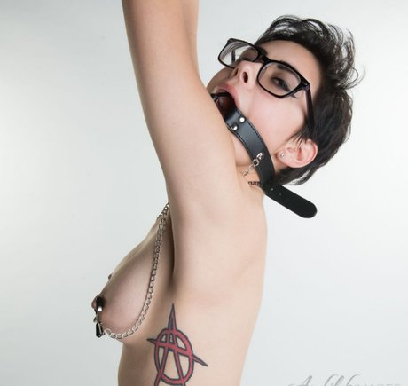 Peyton Rhodes star galleries