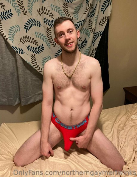 northerngaymertwinks art actress photo