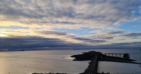 purplemiss high quality pornstar img