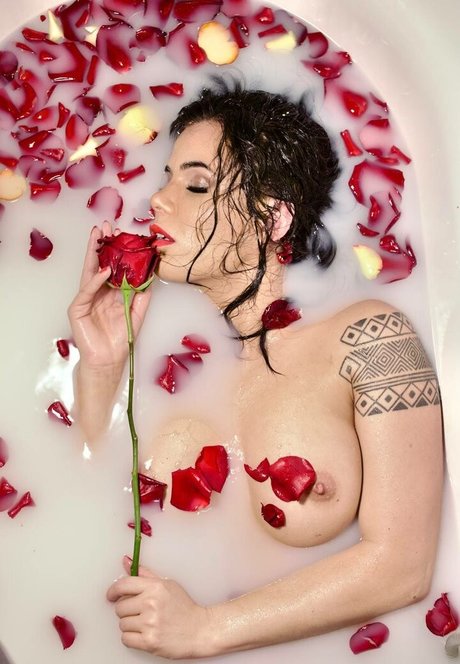 la phoenix ksu pornstar nice image