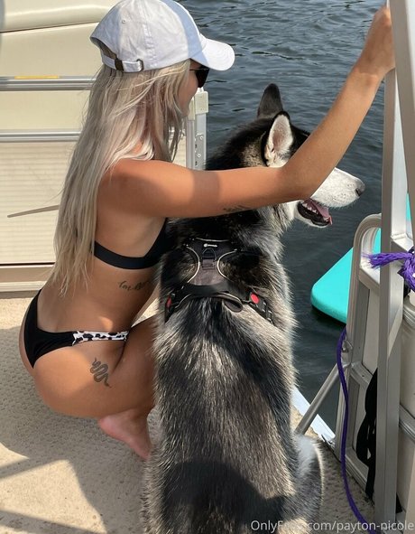 payton nicole star art photo