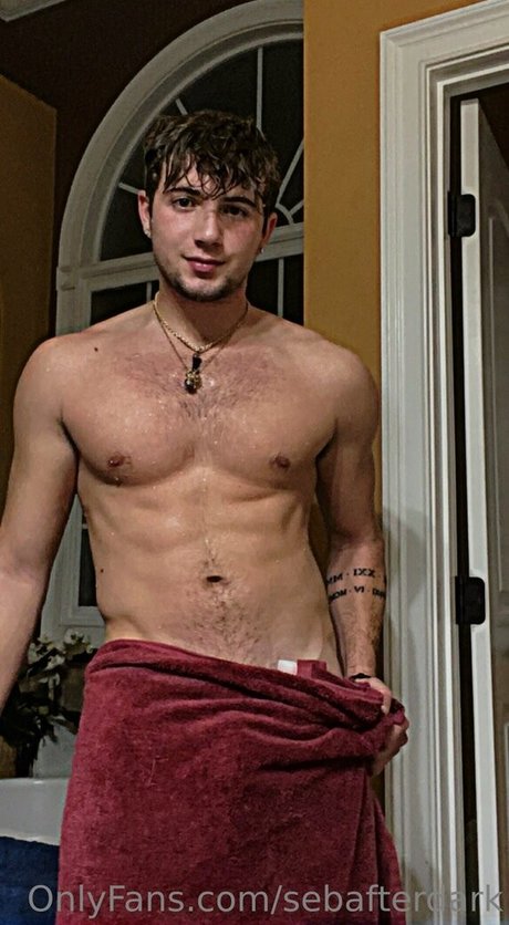 sebafterdark hd star photo