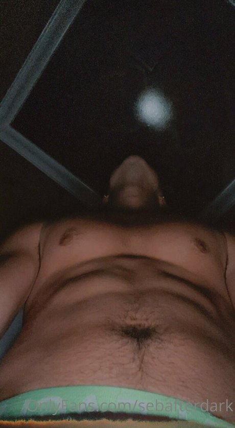 sebafterdark top star picture