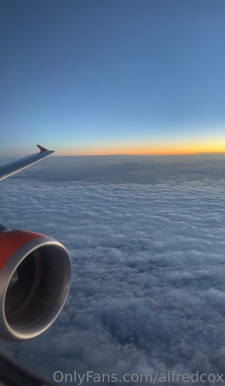 alfredcox top model image