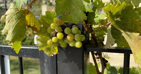 alfredcox nudes star archive