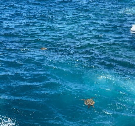 Emiliee Russo porn actress photos