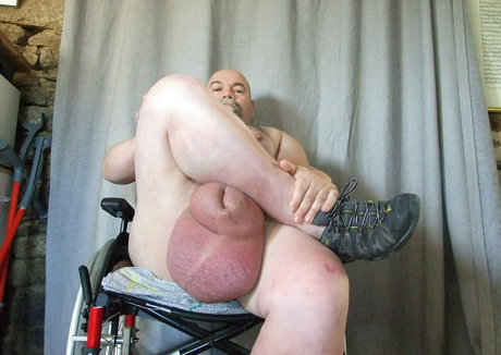 lepamplemousse star high quality picture