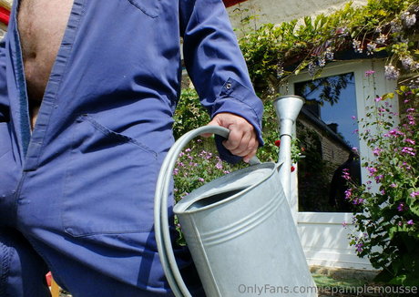 lepamplemousse star adult img