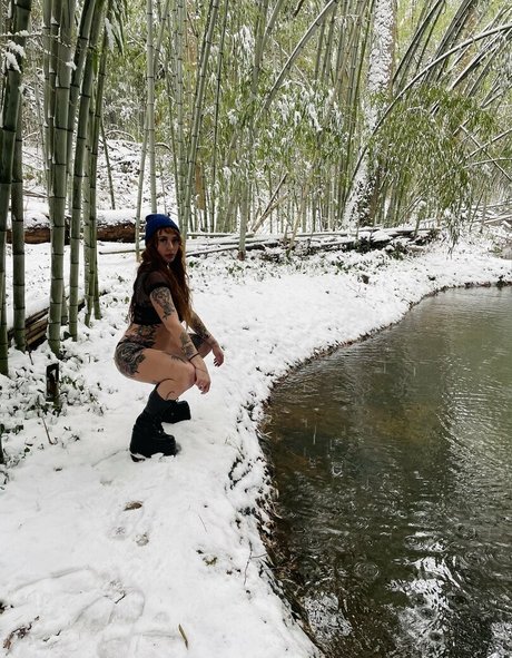 hotdonna666free sexy star galleries