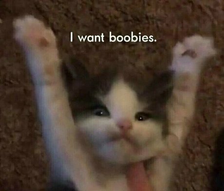 beatskins sex star gallery