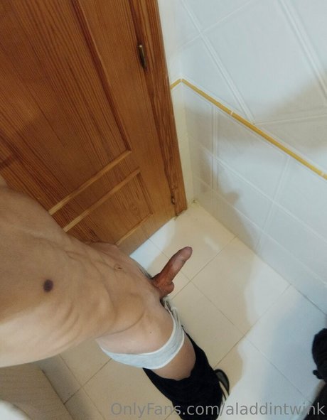 aladdintwink art model picture