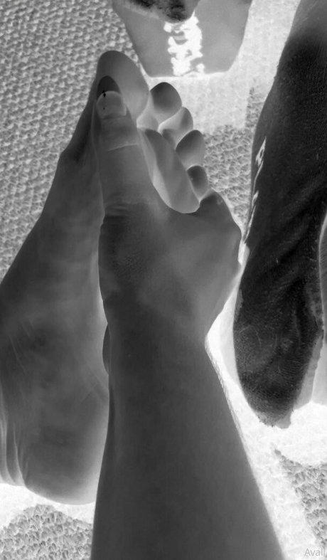 lilithcavali pornstar perfect img