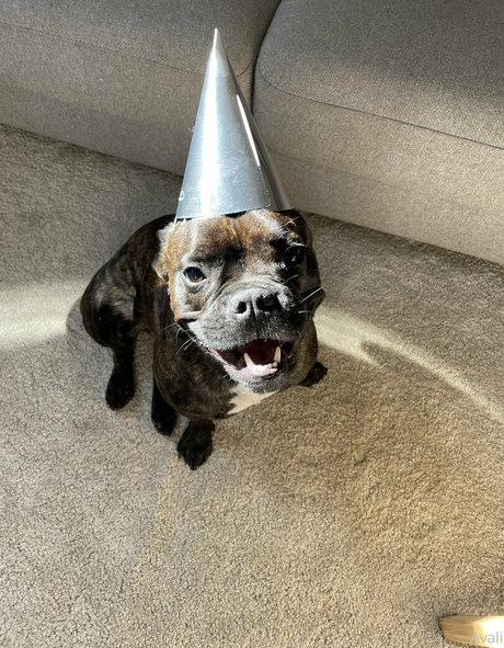 lilithcavali nude star gallery