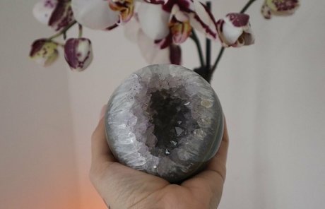 sabsaturnalia star adult img