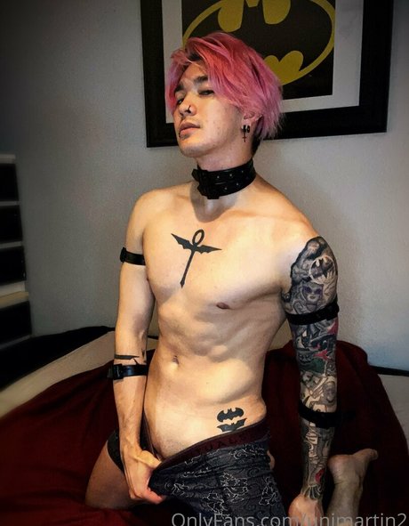 unimartin2 best model images