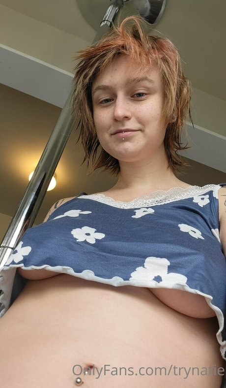 trynatie star free photo