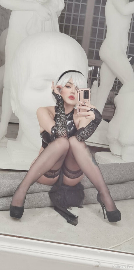 kalinkafox star art image