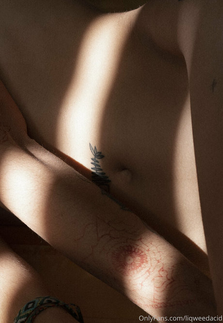 liqweedacid art model image