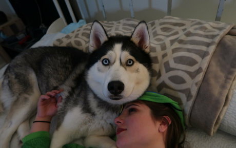 jane fern pornstar nudes archive